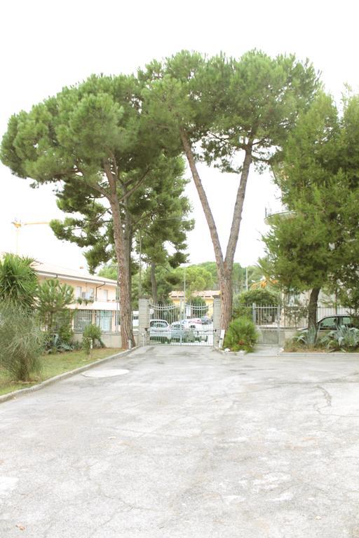 Pino Marittimo Bed and Breakfast Civitanova Marche Eksteriør billede